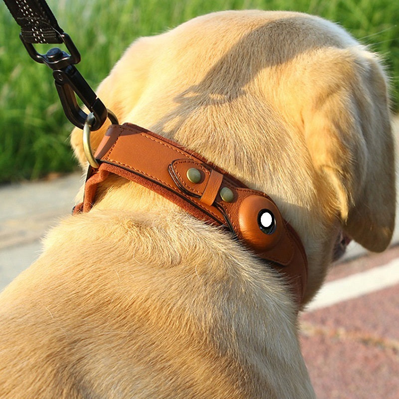 Leather Dog Pet Collar Location Tracker