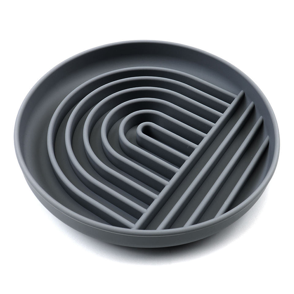 Modern Slow Feeder for Dogs Lick Mat Design