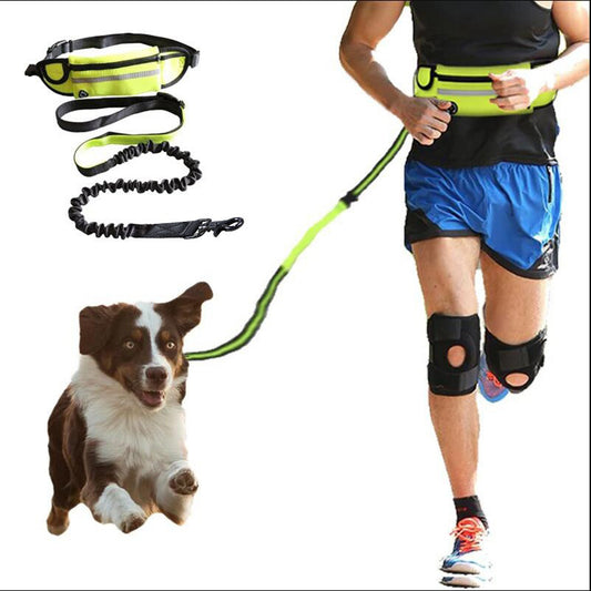 Hands Free Dog Walking and Training Belt With Shock Absorbing Bungee Leash