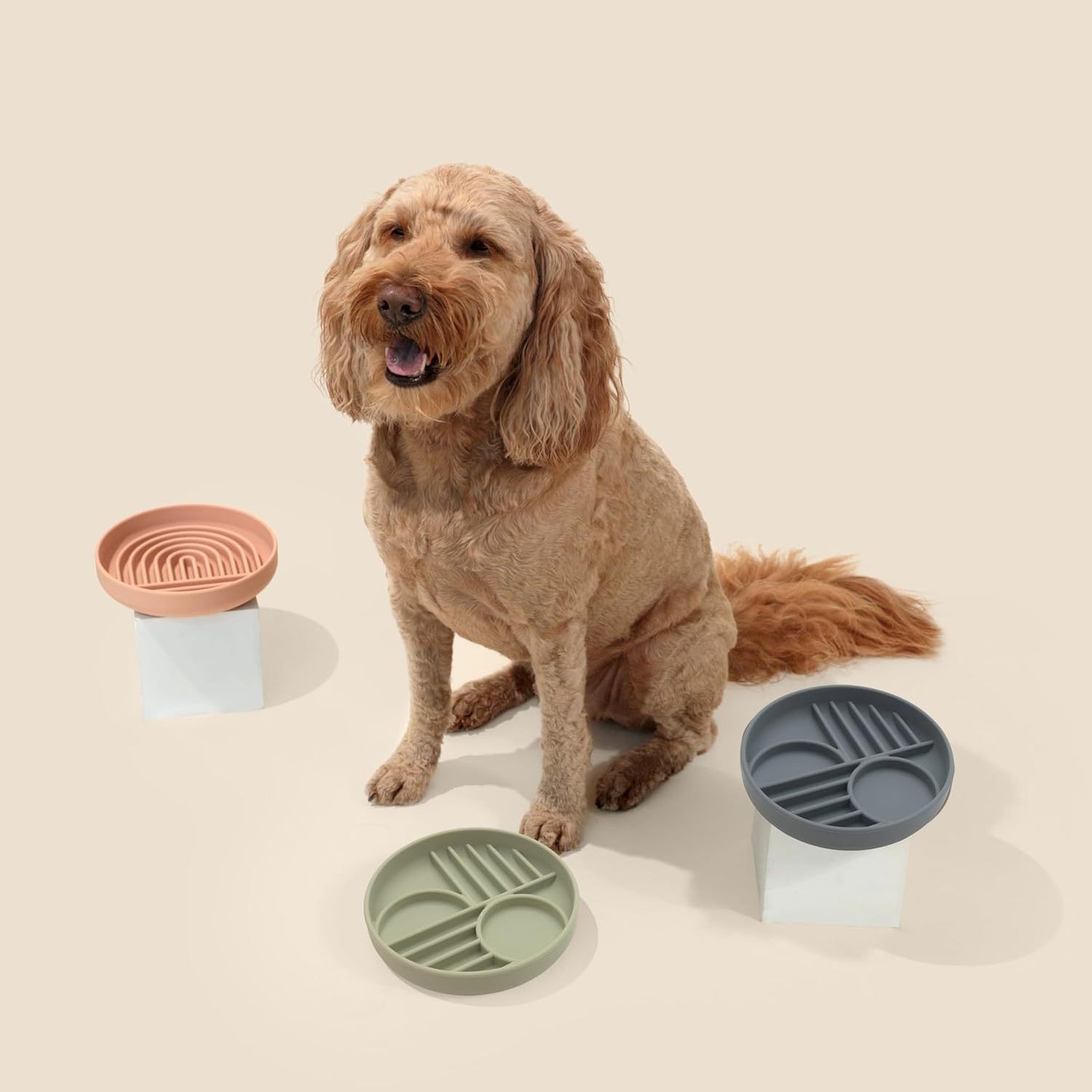 Modern Slow Feeder for Dogs Lick Mat Design