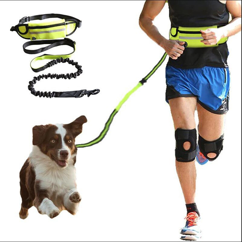 Hands Free Dog Walking and Training Belt With Shock Absorbing Bungee Leash